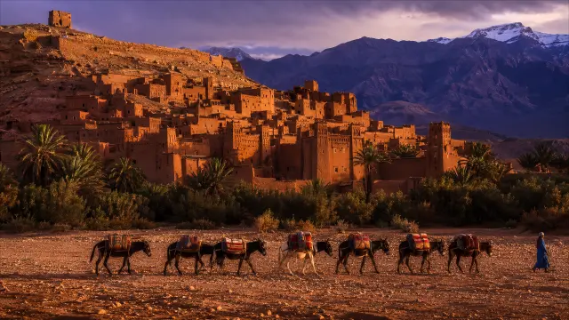 Caravana de burros frente a kasbah moruna