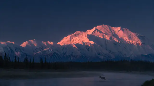 Moose cruzando río con montañas al atardecer