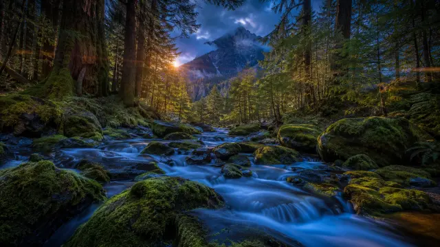 Rio entre bosques con montana nebulosa al anochecer