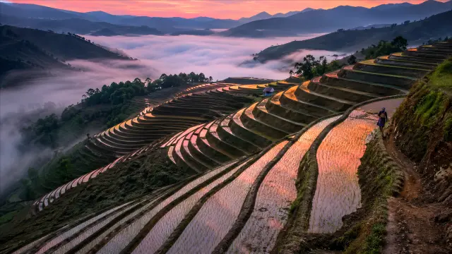 Terrazas de arroz en las montañas al atardecer