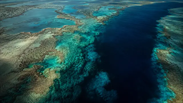 Aérea vista de arrecifes de coral y aguas turquesas