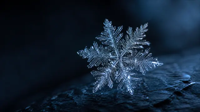 Detalle de un copo de nieve en superficie oscura