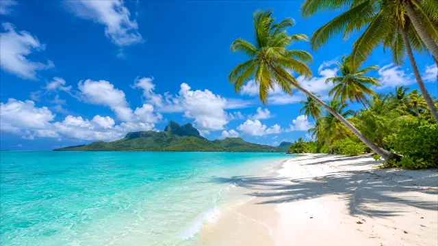 Paisaje tropical con palmeras y mar turquesa