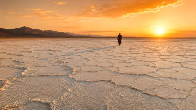 Solitario en salar al atardecer dorado